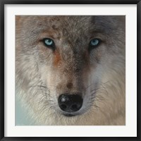 Framed Inner Wolf