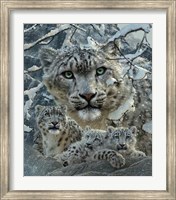 Framed Snow Leopard Collage