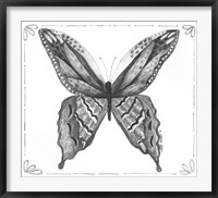 Framed Butterfly VIII