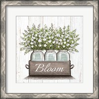 Framed 'Bloom' border=