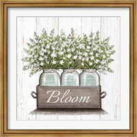 Framed Bloom