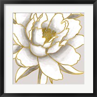 Gold Peony Framed Print