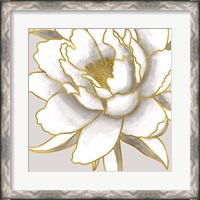 Framed Gold Peony II