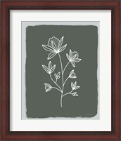 Framed Green Botanical III