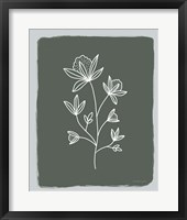 Green Botanical III Framed Print
