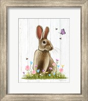 Framed Easter Rabbit