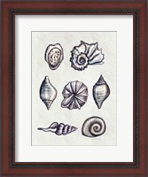 Framed Shells II