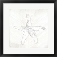 Framed Coastal Starfish