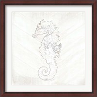 Framed Coastal Seahorse