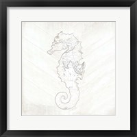 Coastal Seahorse Framed Print