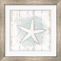 Framed 'Calming Coastal Starfish' border=
