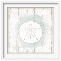 Framed Calming Coastal Sand Dollar