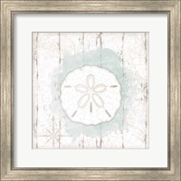 Framed Calming Coastal Sand Dollar