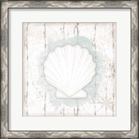 Framed Calming Coastal Shell II