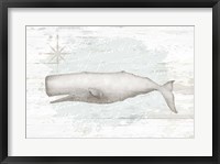 Framed Calming Coastal Whale