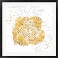Framed Golden Coral