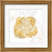 Framed Golden Coral