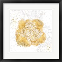 Golden Coral Framed Print