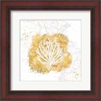Framed Golden Coral II