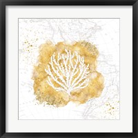 Framed Golden Coral II