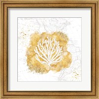 Framed Golden Coral II