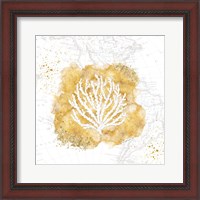 Framed Golden Coral II