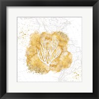 Framed Golden Coral III
