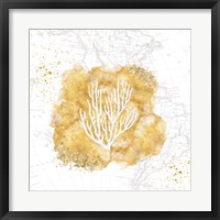 Framed Golden Coral III