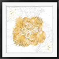 Framed Golden Coral IV