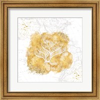 Framed Golden Coral IV
