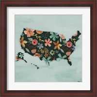 Framed Floral America III