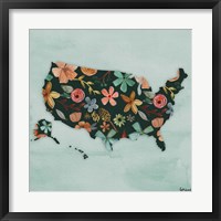 Framed Floral America III