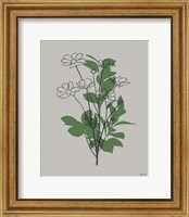 Framed Line Botanical II