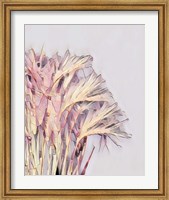 Framed Pink Grass