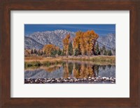 Framed Teton Autumn