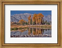 Framed Teton Autumn