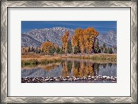 Framed Teton Autumn