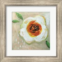 Framed White Flower