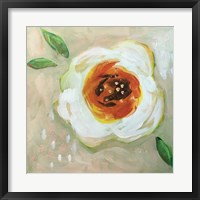 Framed White Flower