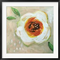 Framed White Flower