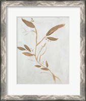 Framed Twig on White