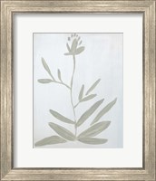Framed Flower on White