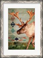 Framed Moose