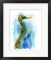 Framed Seahorse I