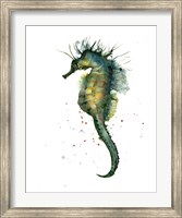 Framed Seahorse II