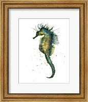 Framed Seahorse II