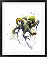 Framed Octopus I