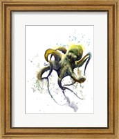 Framed Octopus I