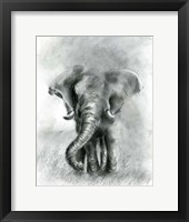 Framed Elephant Joy BW