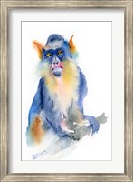 Framed Blue Monkey